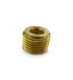 Air Lift Pipe Plugs- 1/2in Npt (Countersunk)